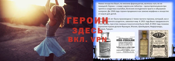 ПСИЛОЦИБИНОВЫЕ ГРИБЫ Вяземский