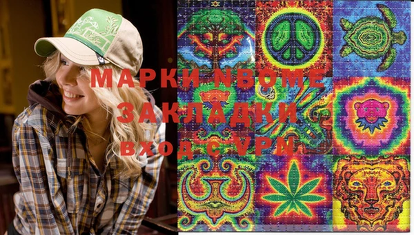 ПСИЛОЦИБИНОВЫЕ ГРИБЫ Вяземский