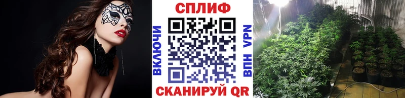 Купить где  Тавда  Каннабис индика 